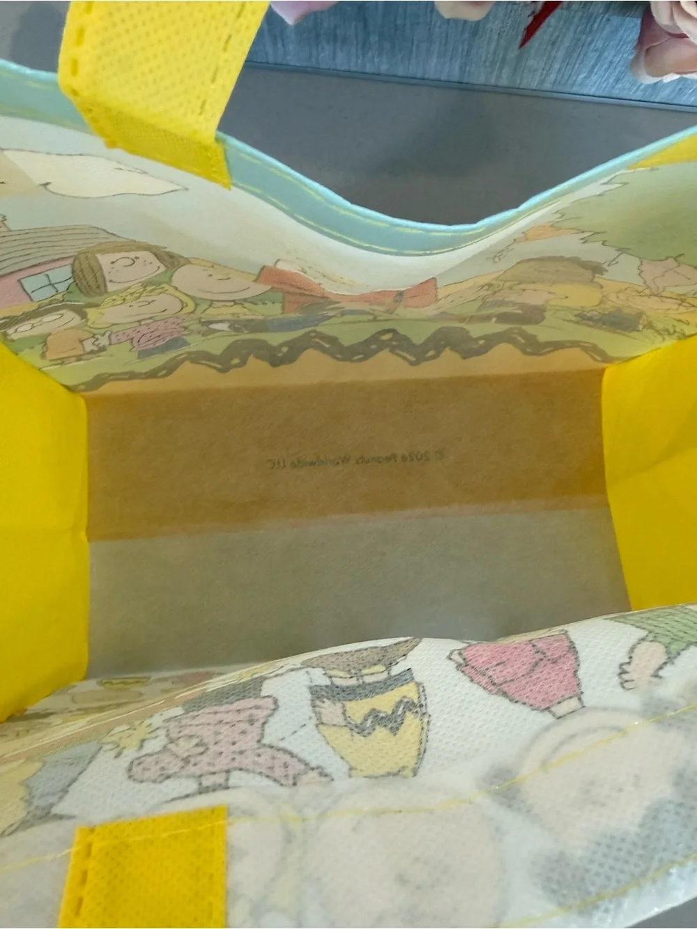 Peanuts shopper tote NWT snoopy, Charlie Brown, Lucy Peanuts gang
